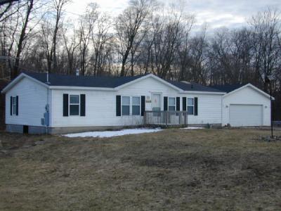 10981 Elizabeth Drive Three Rivers, MI 49093 - Photo 3 of 3 Additional Photo