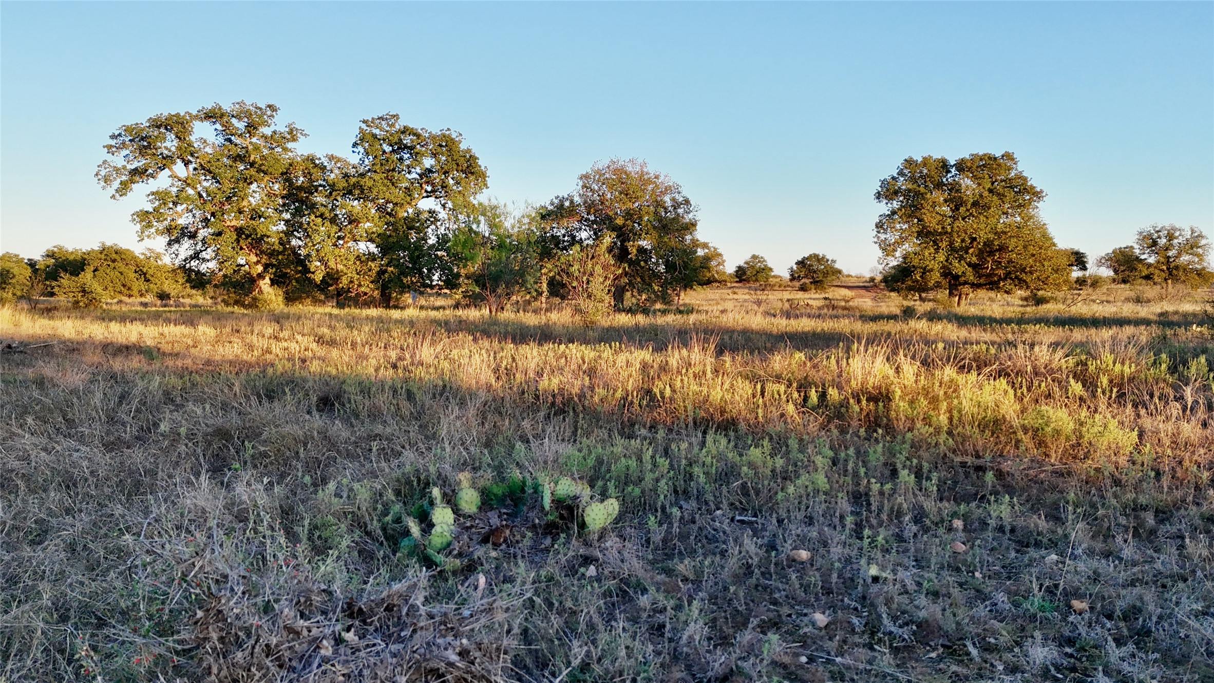 6540 County Road 409 Llano, TX 78643 - Photo 11 of 19 a view of a yard