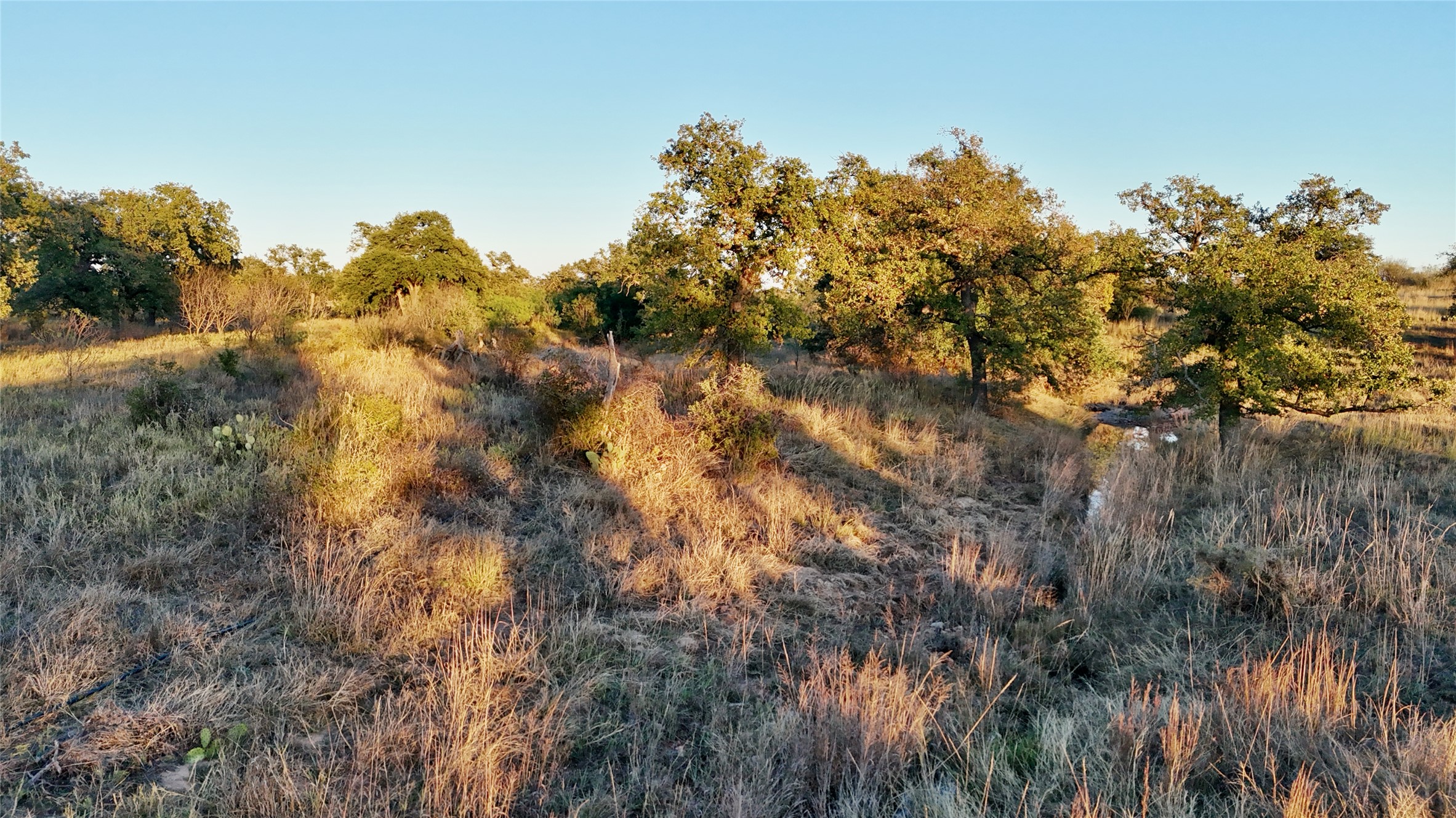 6540 County Road 409 Llano, TX 78643 - Photo 12 of 19 a view of a tree in a field with a tree in back