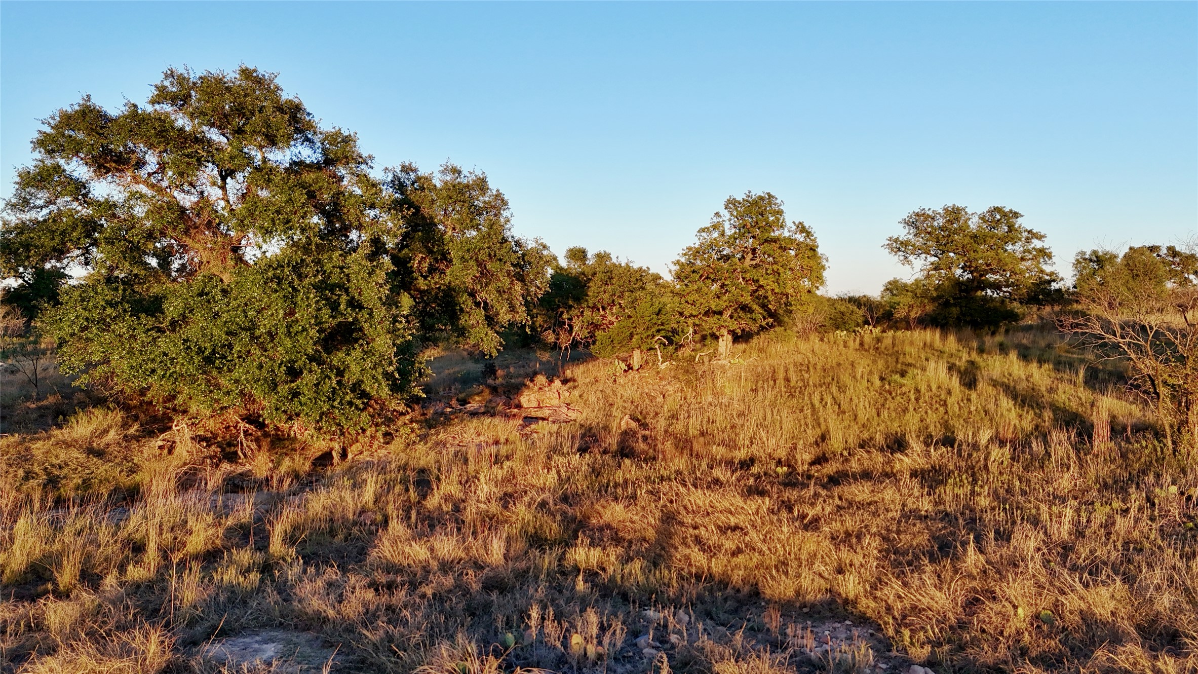 6540 County Road 409 Llano, TX 78643 - Photo 13 of 19 a view of a covered with trees
