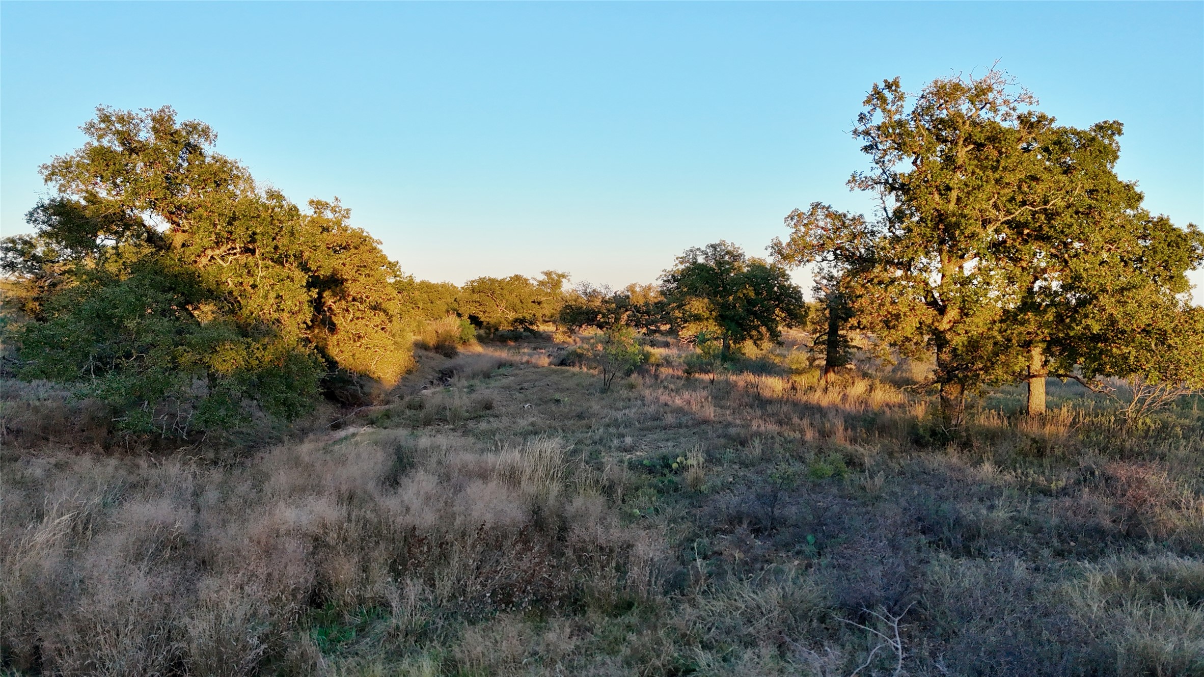 6540 County Road 409 Llano, TX 78643 - Photo 19 of 19 a view of a tree in a field of a house