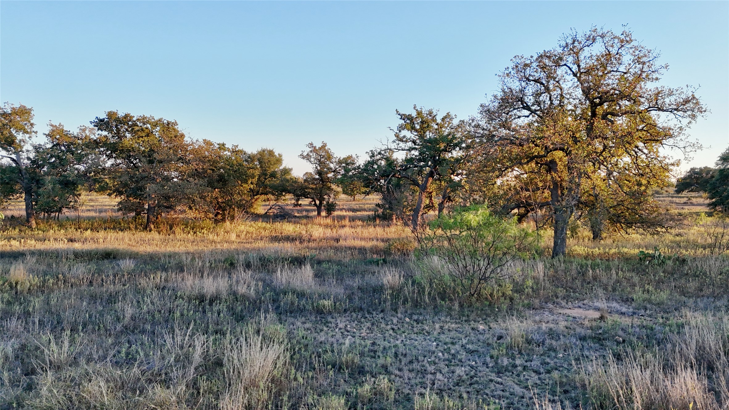 6540 County Road 409 Llano, TX 78643 - Photo 5 of 19 a view of river covered with trees