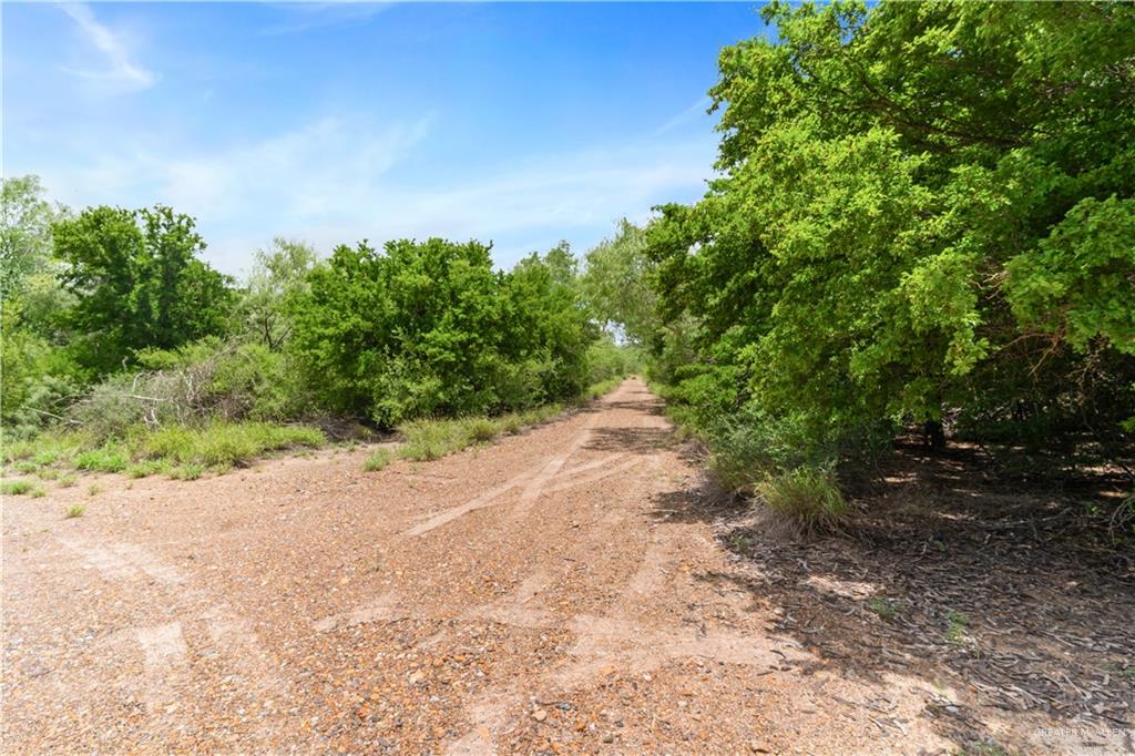 0 Military Road Penitas, TX 78576 - Photo 11 of 26 a view of a dirt road with trees in the background