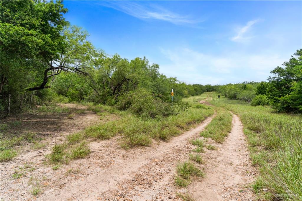 0 Military Road Penitas, TX 78576 - Photo 12 of 26 a view of a yard with a tree