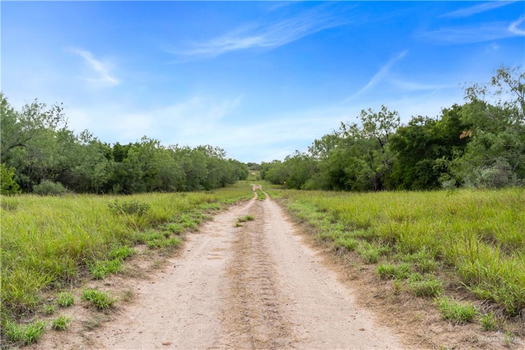 0 Military Road Penitas, TX 78576 - Photo 16 of 26 a view of a yard with a tree