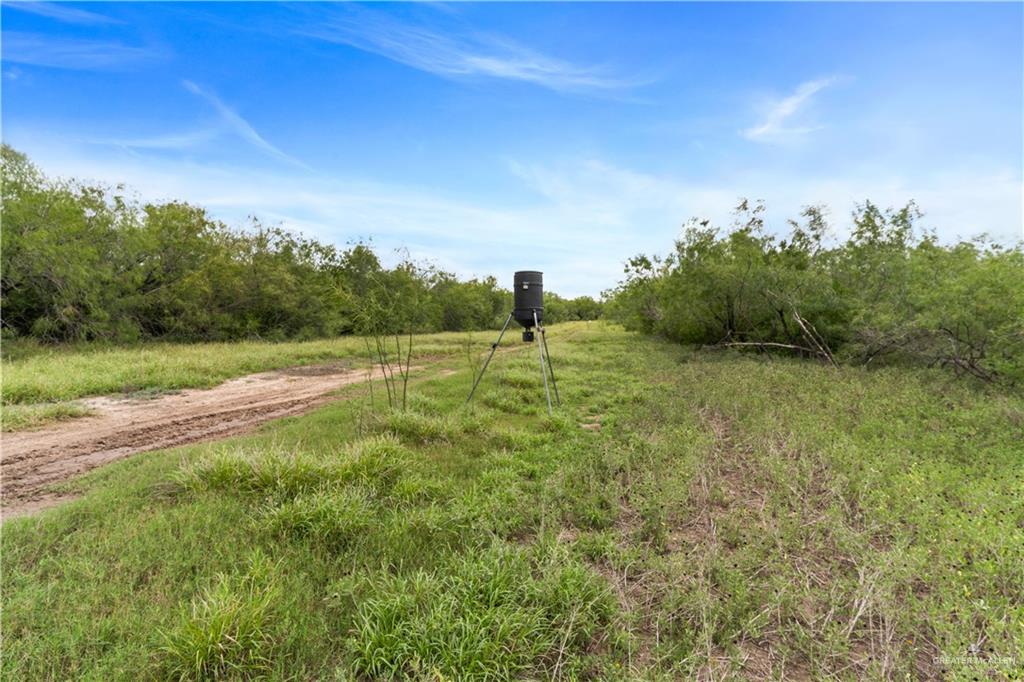 0 Military Road Penitas, TX 78576 - Photo 17 of 26 a view of a grassy area with an trees