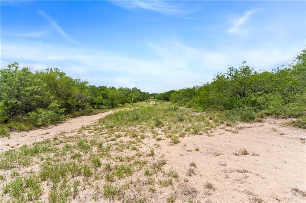 0 Military Road Penitas, TX 78576 - Photo 20 of 26 a view of a yard with a tree
