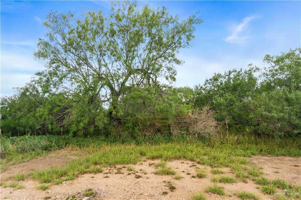0 Military Road Penitas, TX 78576 - Photo 21 of 26 a view of a yard with a tree