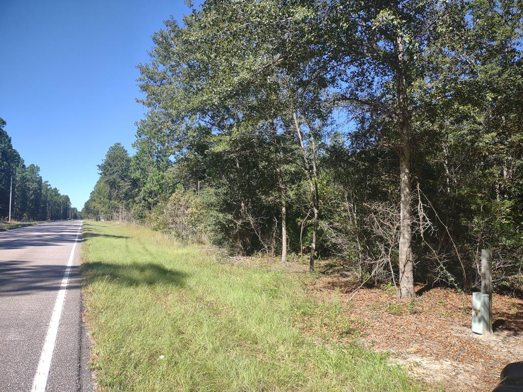 5413 Kenwood Road Manning, SC 29102 - Photo 1 of 4 Gallery Image 1