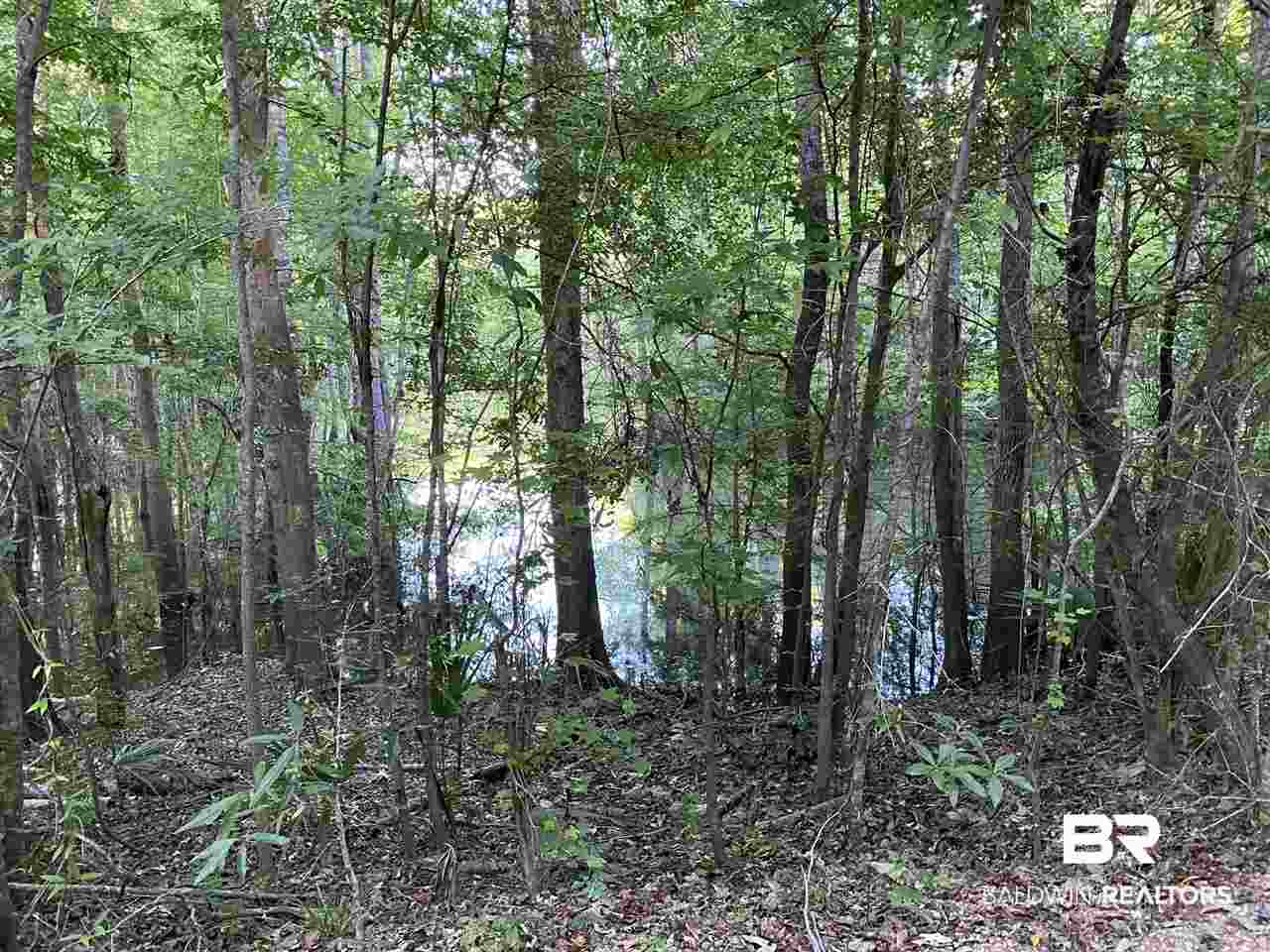0 Highway 4 Jay, FL 32565 - Photo 22 of 50