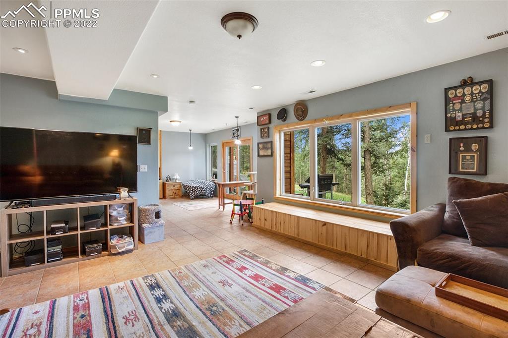 4053 Omer Lane Divide, CO 80814 - Photo 25 of 45 a living room with furniture and a flat screen tv