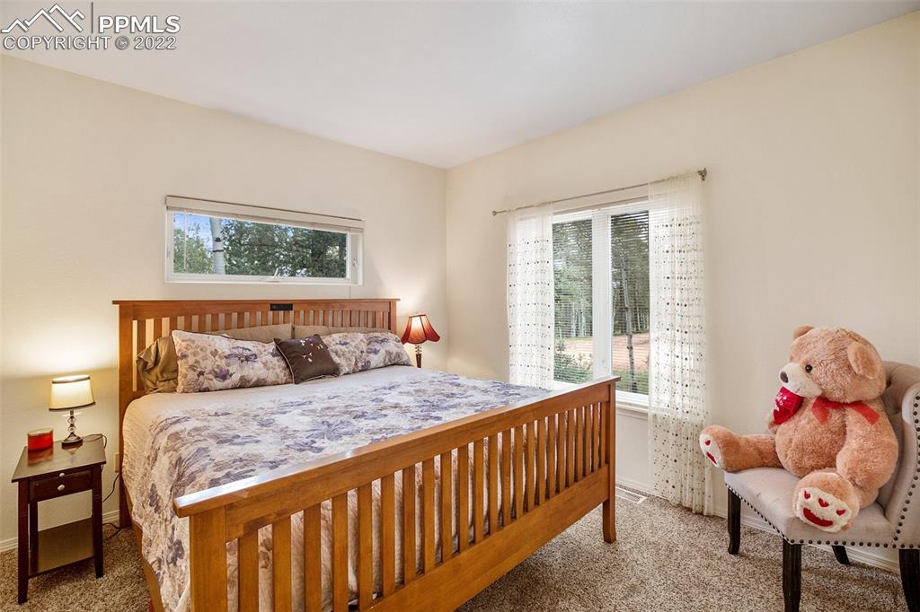 4053 Omer Lane Divide, CO 80814 - Photo 29 of 45 a bedroom with a bed and window