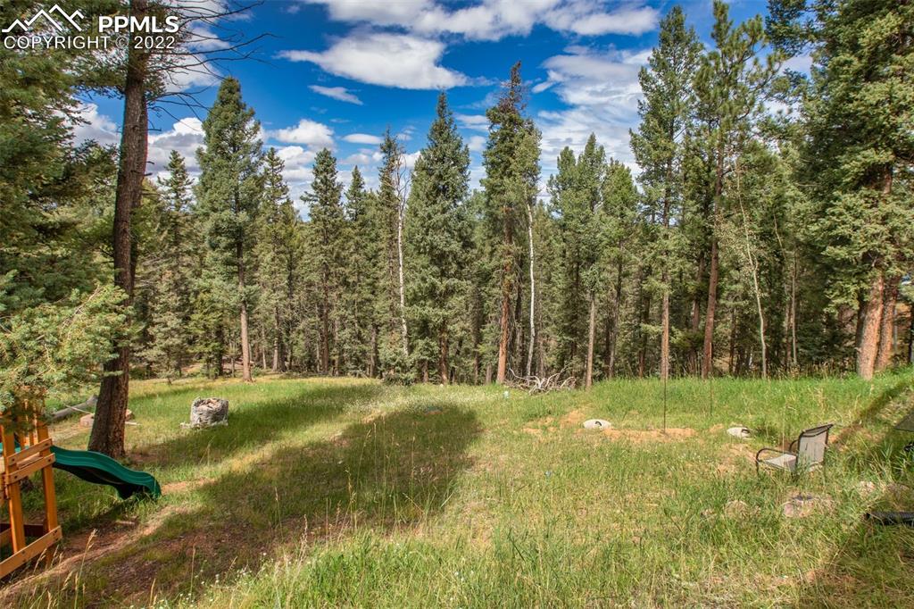 4053 Omer Lane Divide, CO 80814 - Photo 39 of 45 a view of a park with large trees