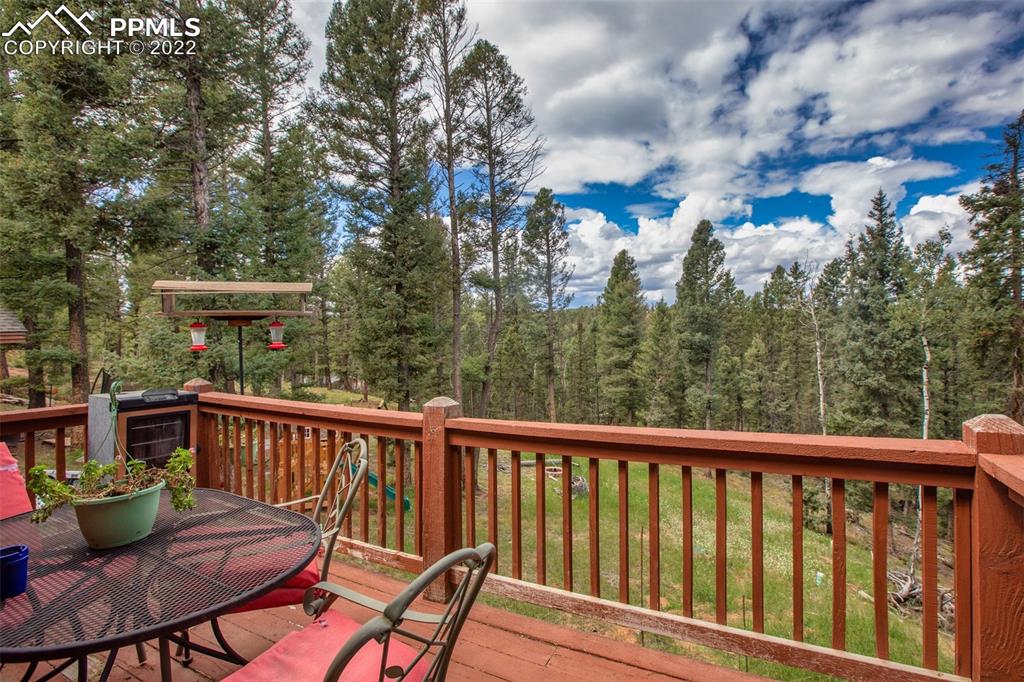 4053 Omer Lane Divide, CO 80814 - Photo 41 of 45 a view of a chair and table in the balcony