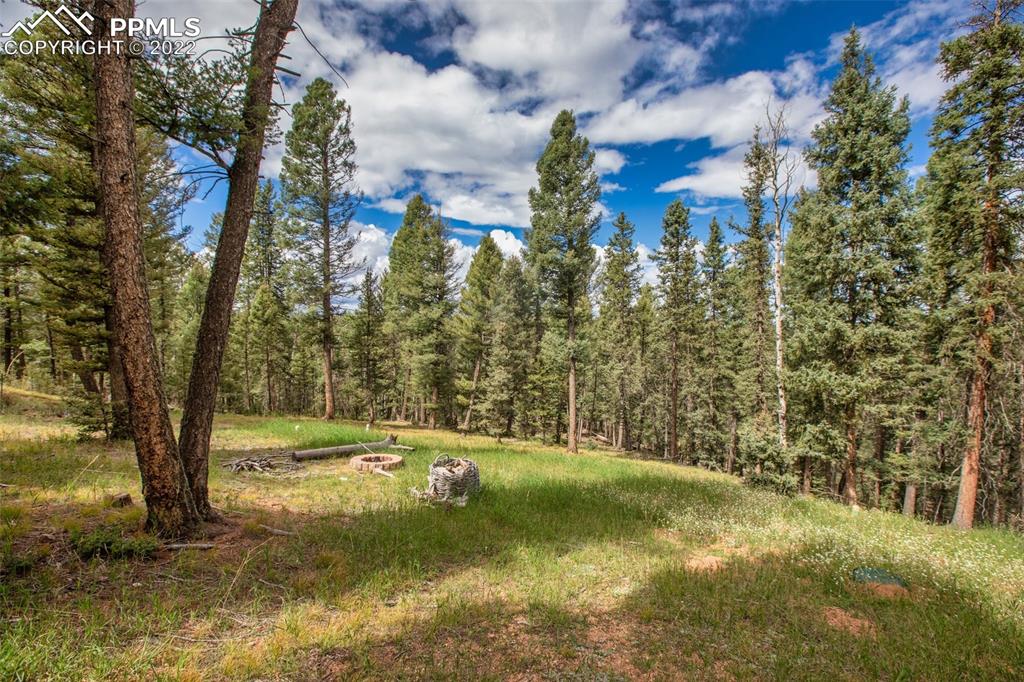 4053 Omer Lane Divide, CO 80814 - Photo 5 of 45 a view of a yard with large trees
