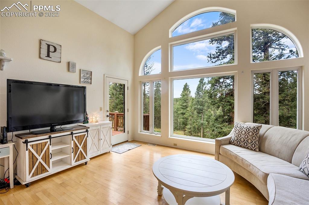 4053 Omer Lane Divide, CO 80814 - Photo 9 of 45 a living room with furniture a flat screen tv and a large window