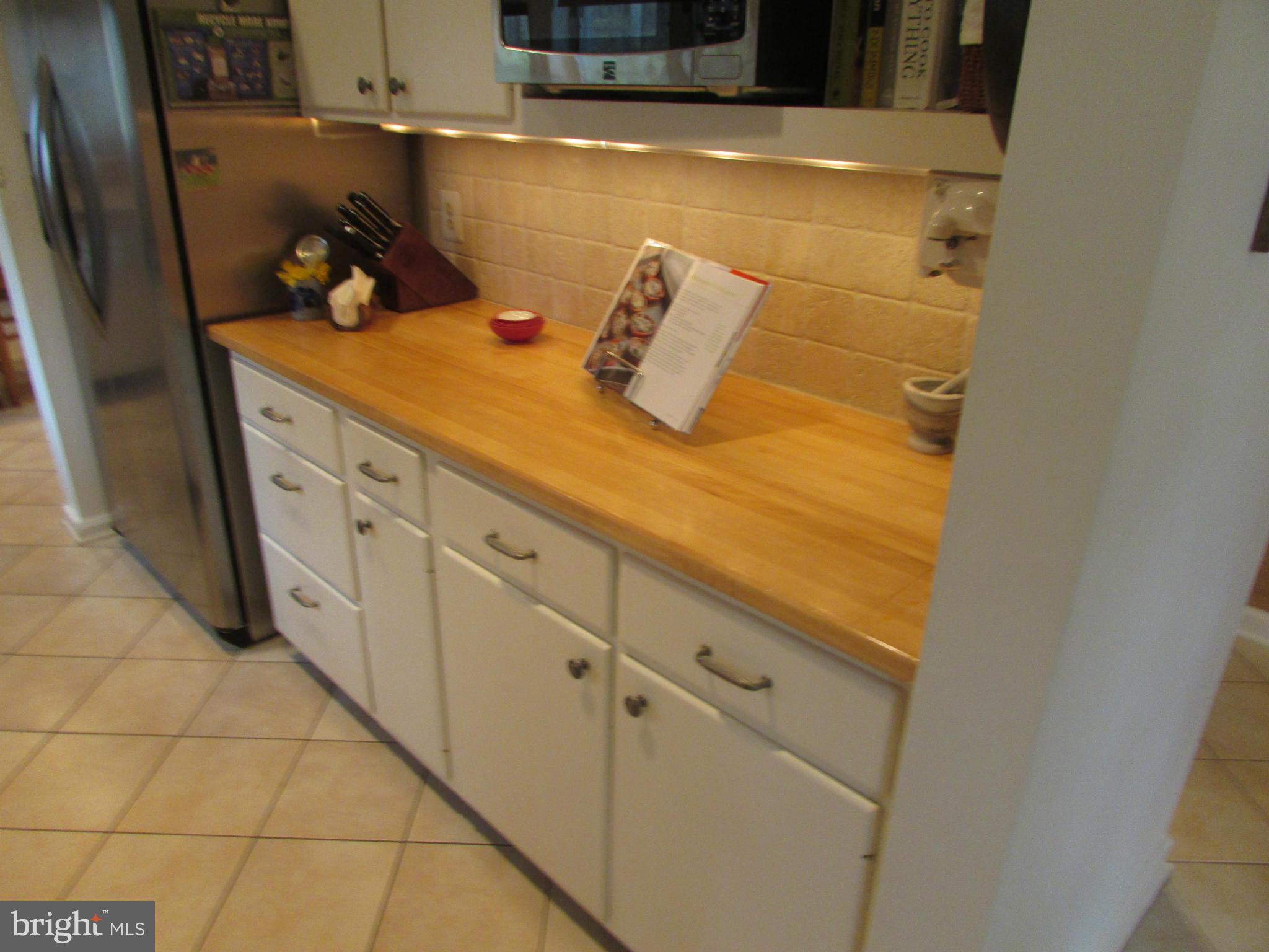 1908 Norvale Road Silver Spring, MD 20906 - Photo 21 of 30 a close view of sink and tap