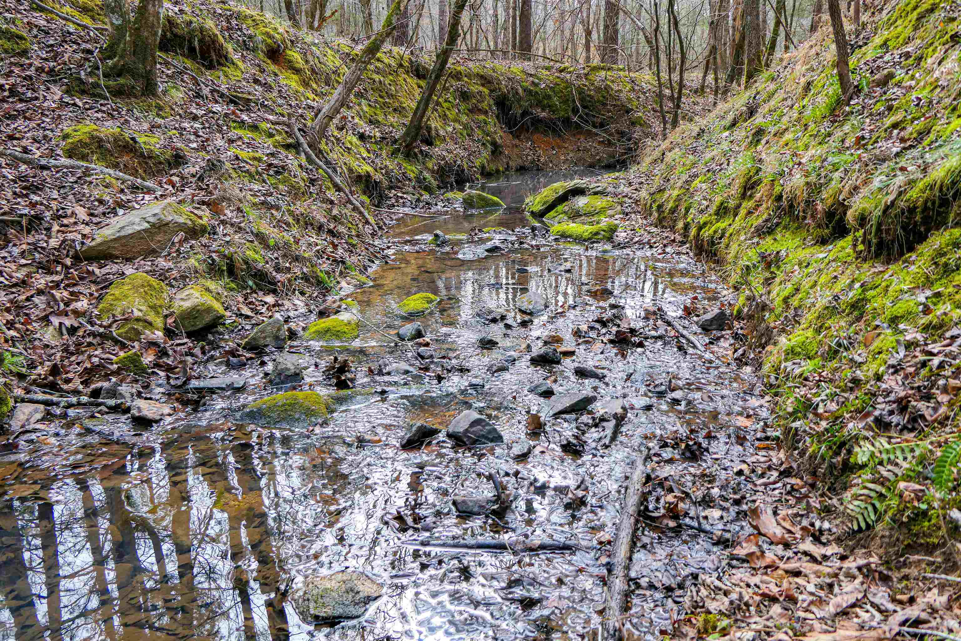 3062 State Rd S-44-24 Carlisle, SC 29031 - Photo 3 of 9