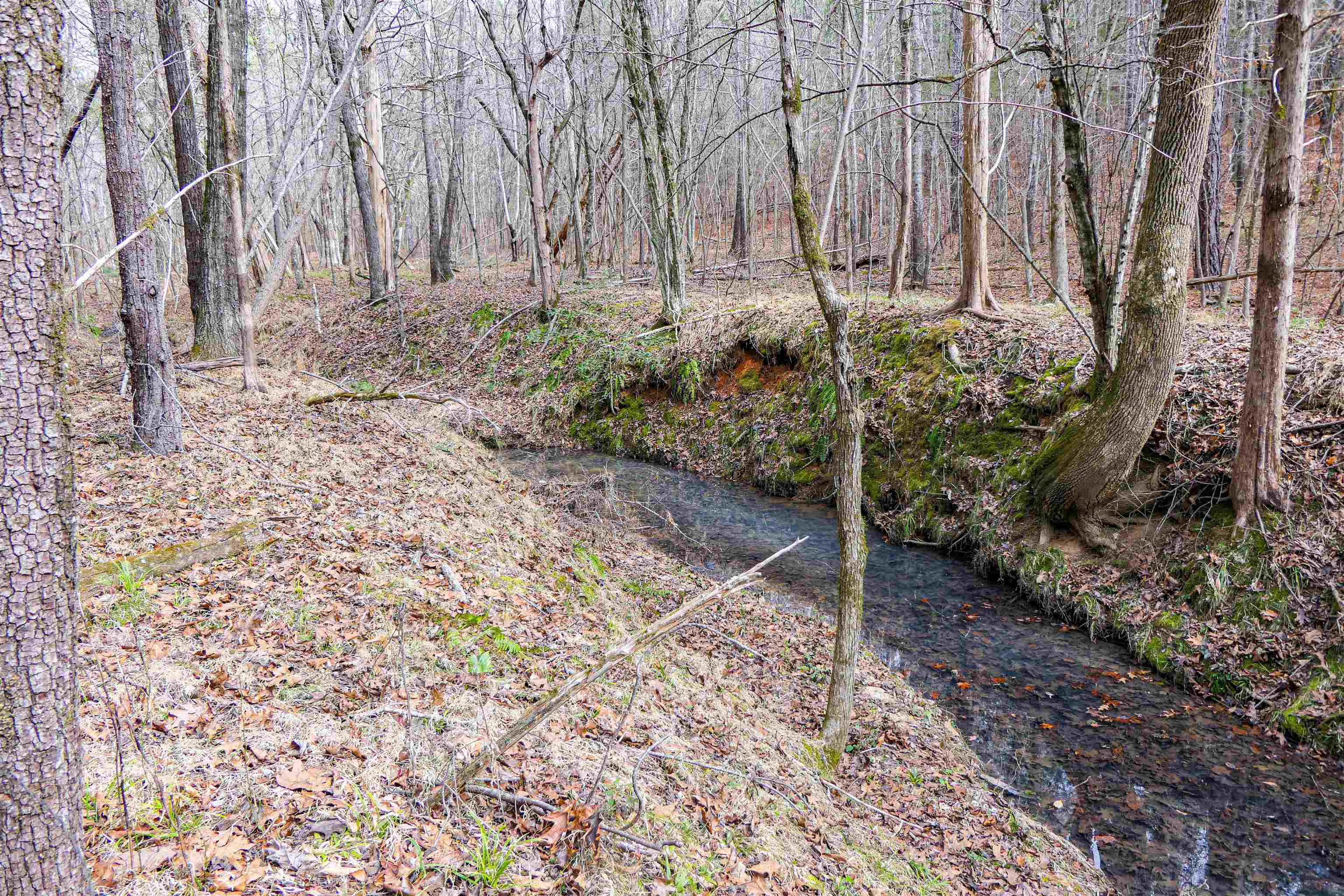 3062 State Rd S-44-24 Carlisle, SC 29031 - Photo 4 of 9