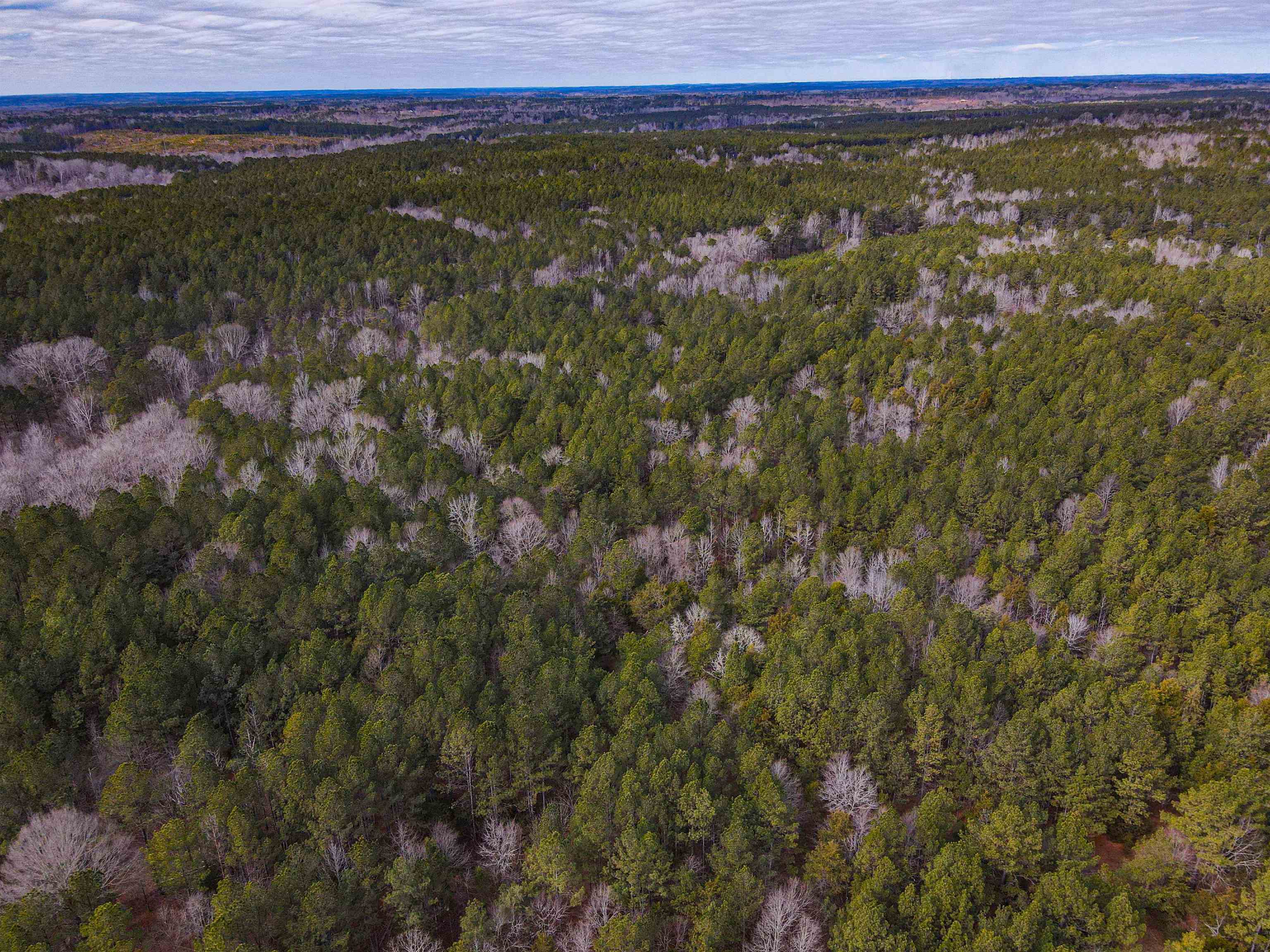 3062 State Rd S-44-24 Carlisle, SC 29031 - Photo 7 of 9