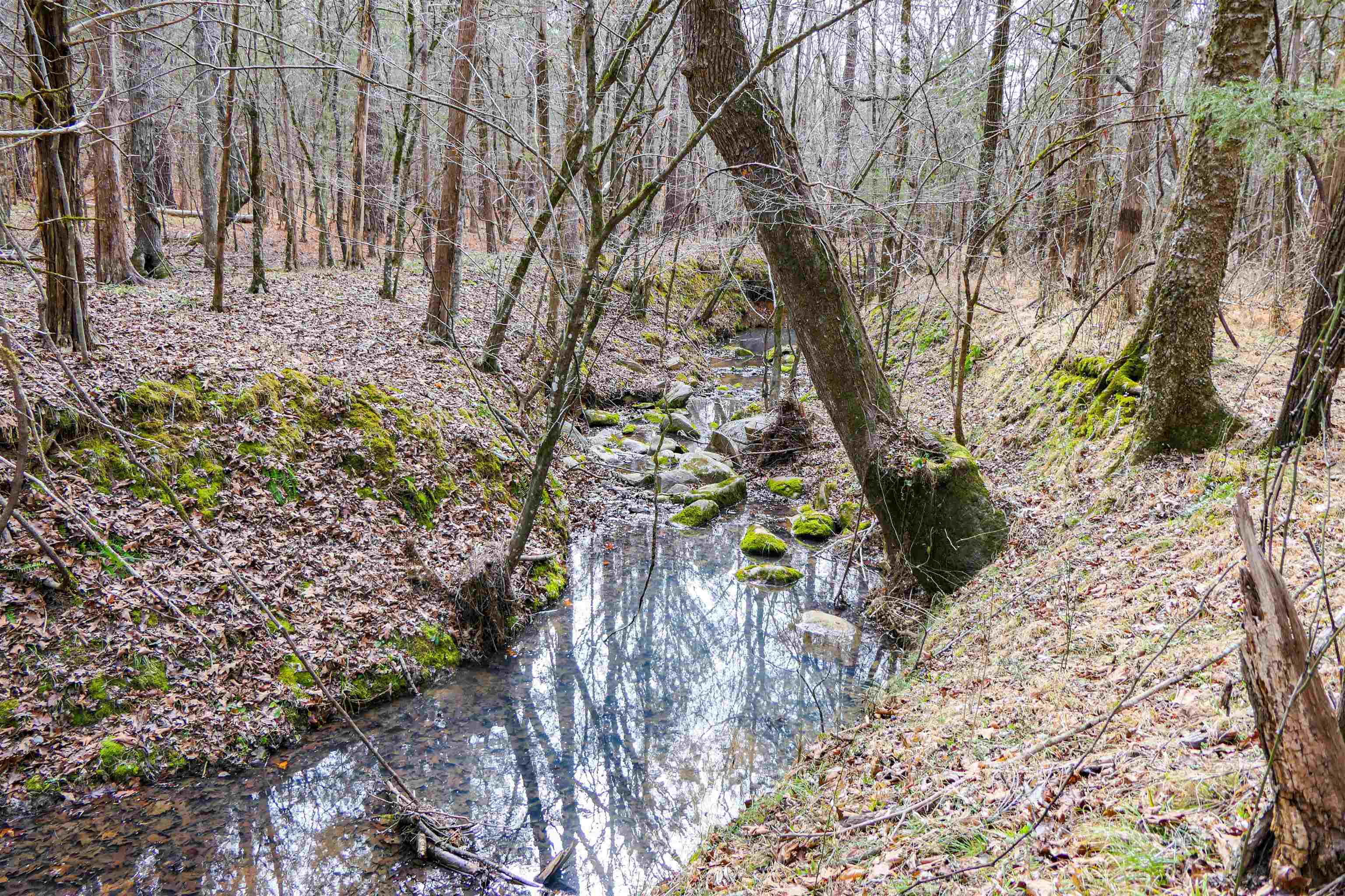 3062 State Rd S-44-24 Carlisle, SC 29031 - Photo 9 of 9