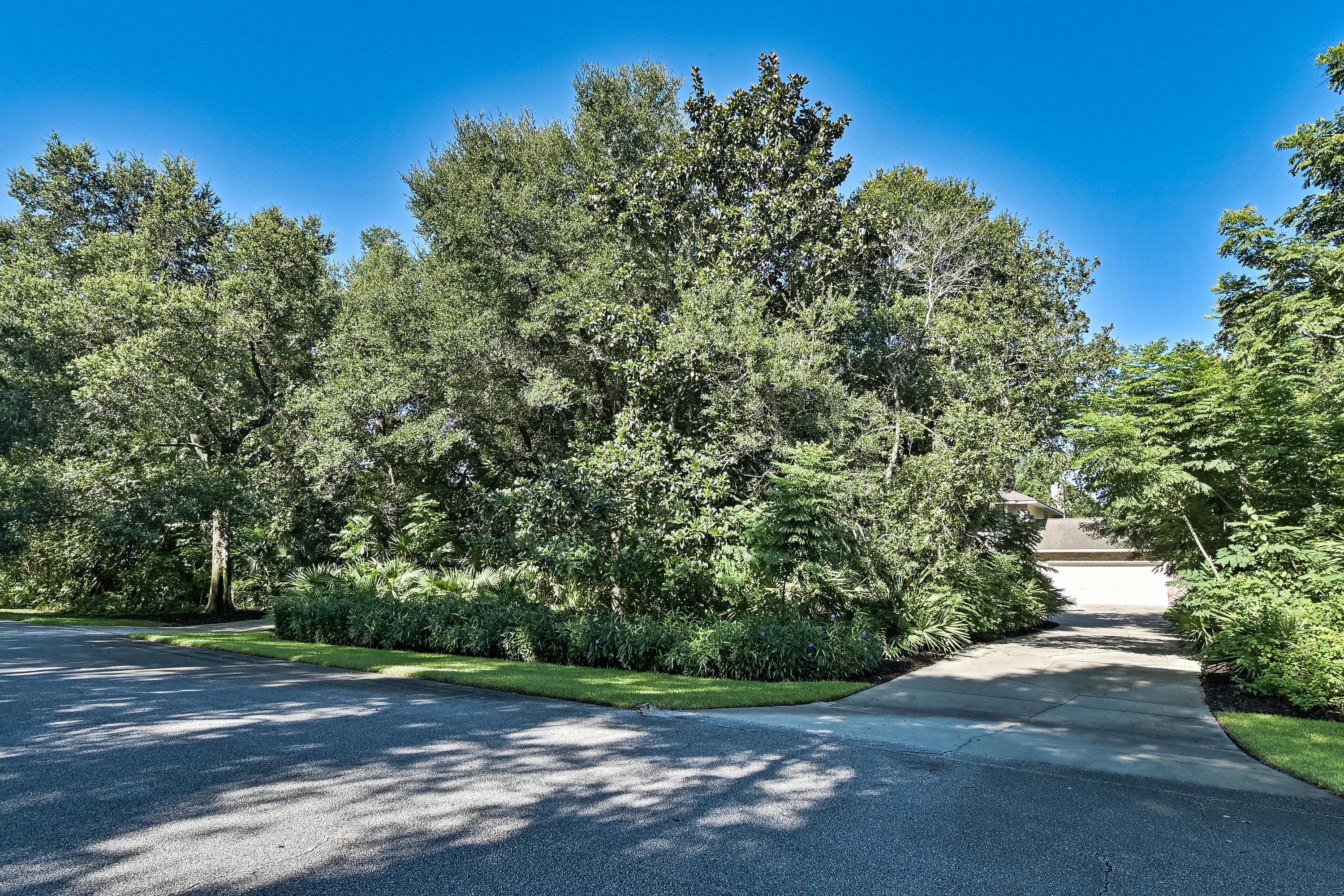 656 Needlerush Road Port Orange, FL 32127 - Photo 69 of 83 Plenty of Parking