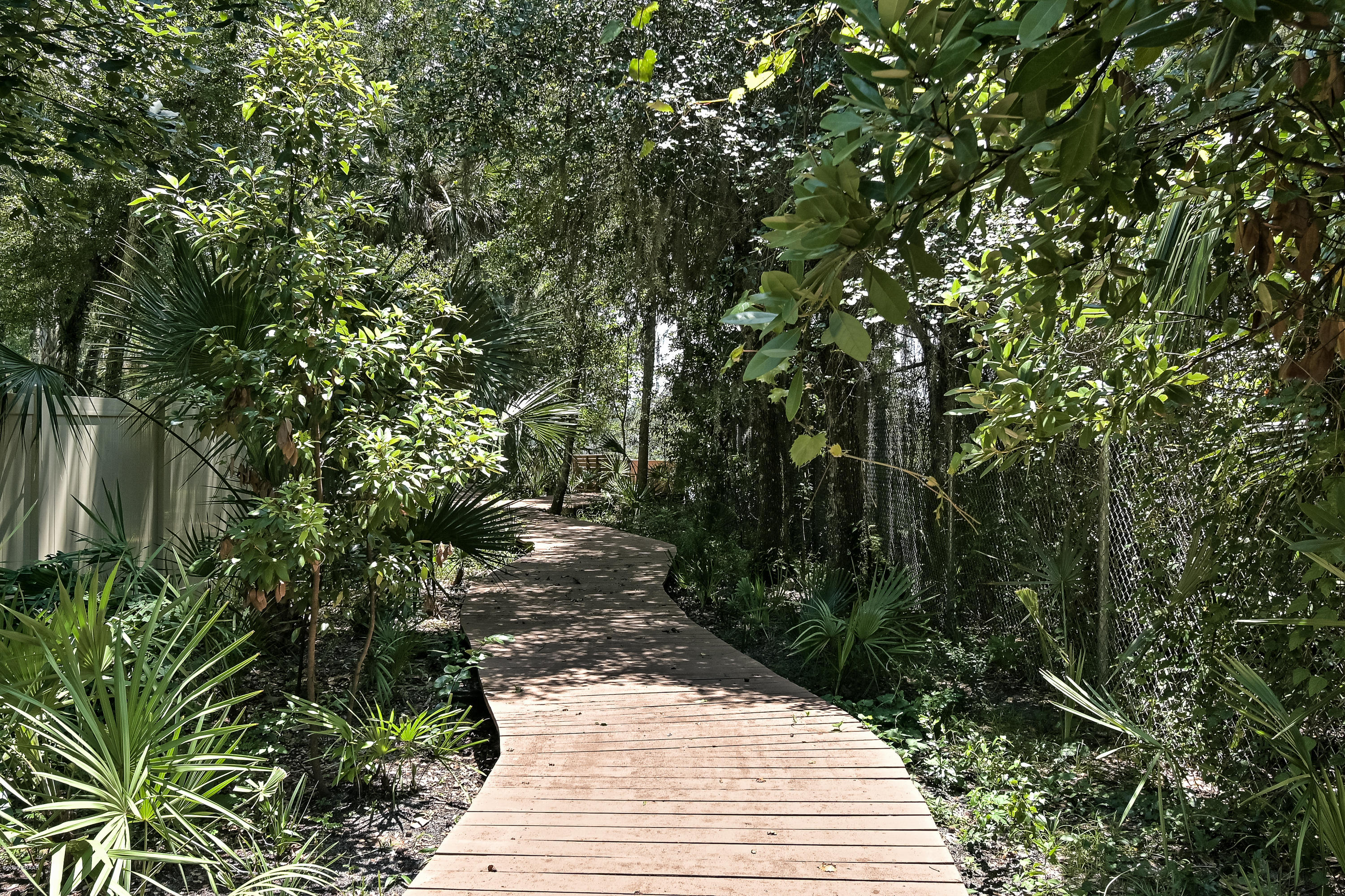 656 Needlerush Road Port Orange, FL 32127 - Photo 75 of 83 Walkway to Dock