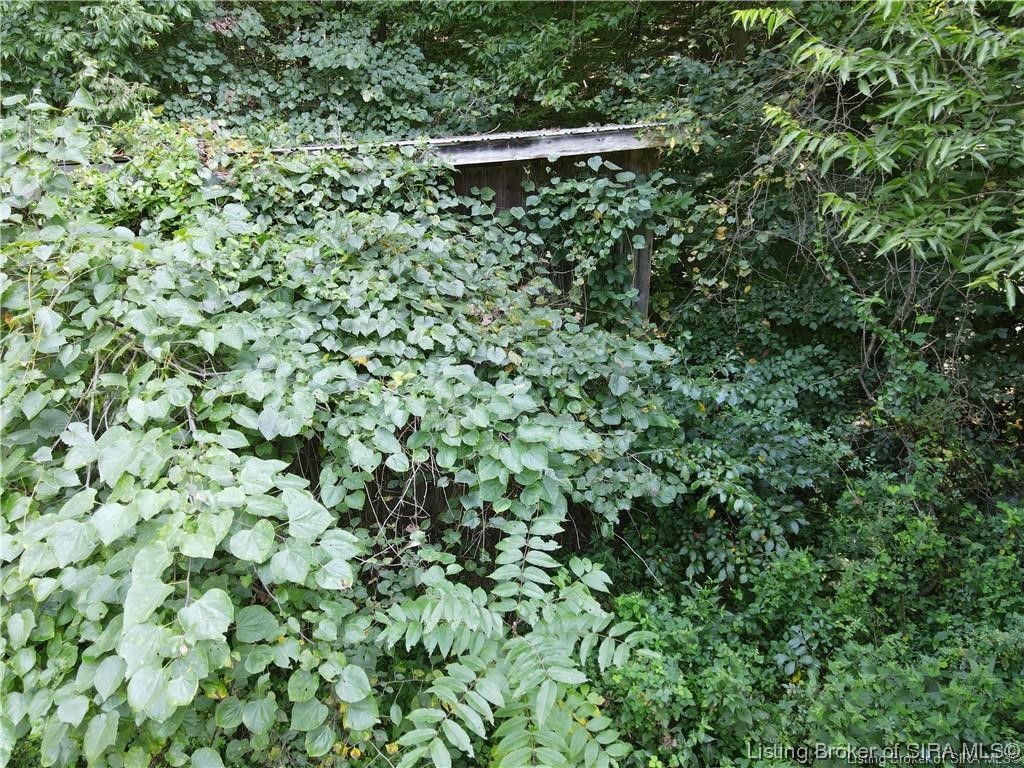 4501 Tee Road Northeast Corydon, IN 47112 - Photo 6 of 13 Gallery Image 6