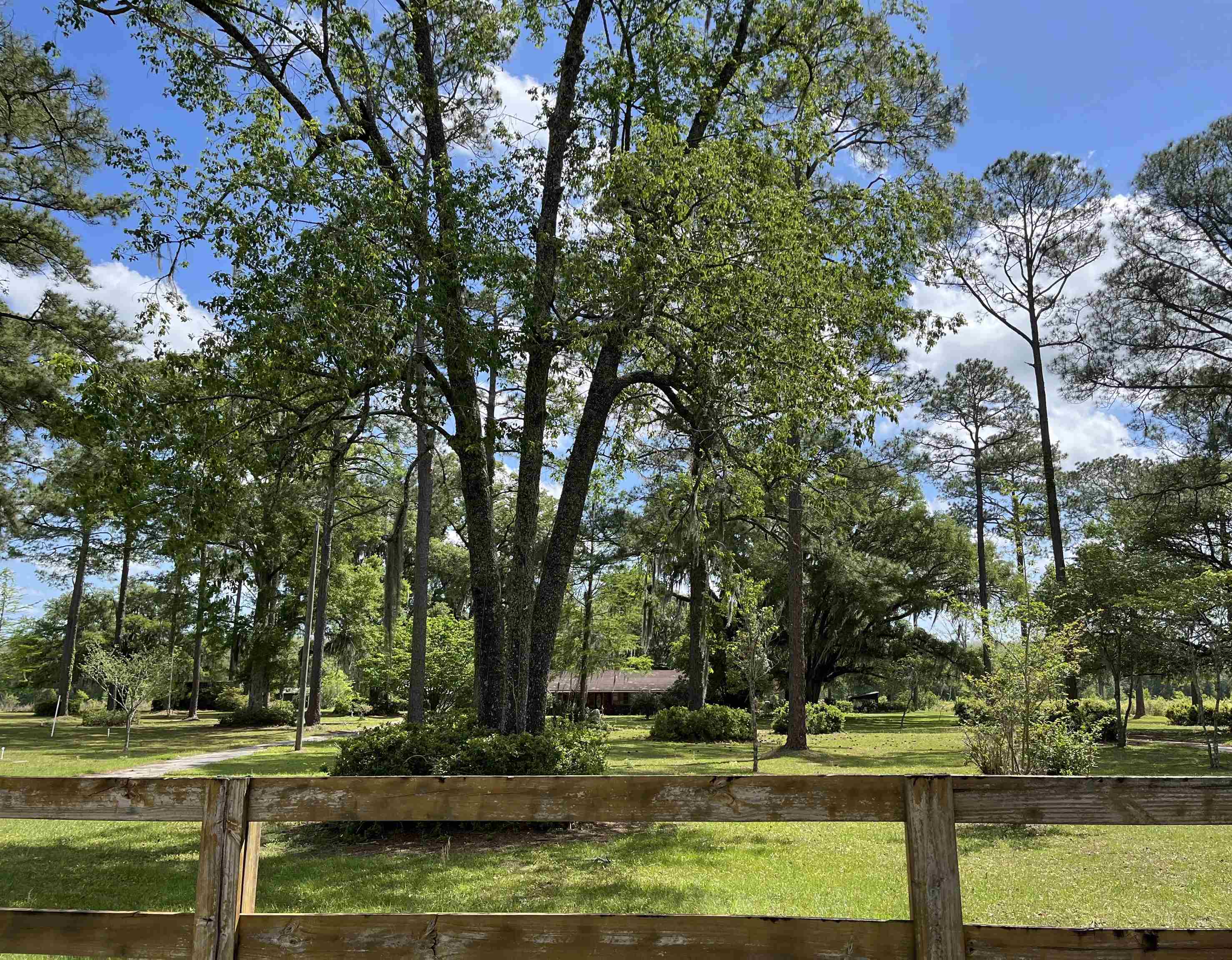 1417 Government Farm Road Monticello, FL 32344 - Photo 1 of 2 Gallery Image 1