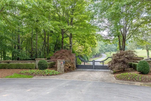 a view of garden with trees