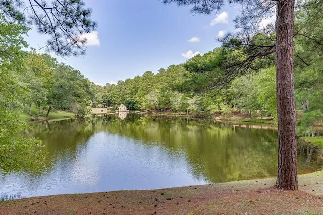 a view of a lake view with a large tree