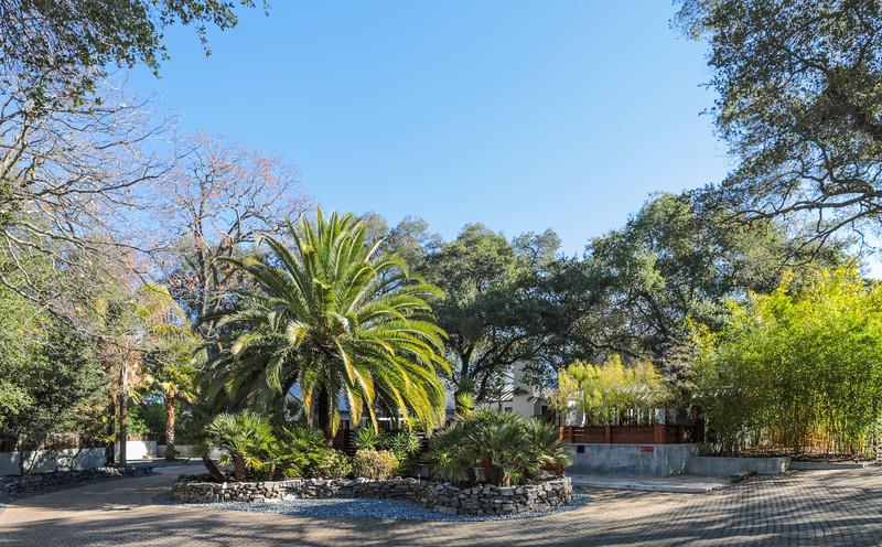 14480 Oak Place Saratoga, CA 95070 - Photo 49 of 50 a view of a palm trees in front of a building