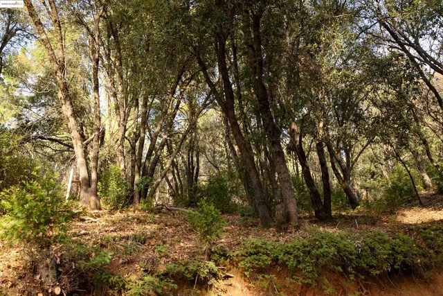 $277,000 | 22608 Cedarcrest Road, Sonora, CA 95370