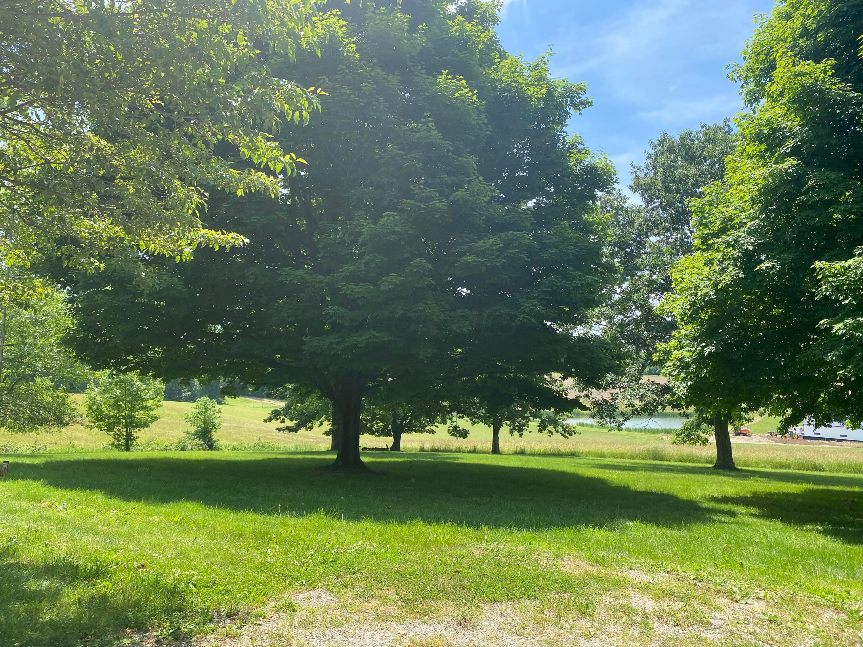 610 Mt Perry Road Mount Perry, OH 43760 - Photo 26 of 27 yard 2
