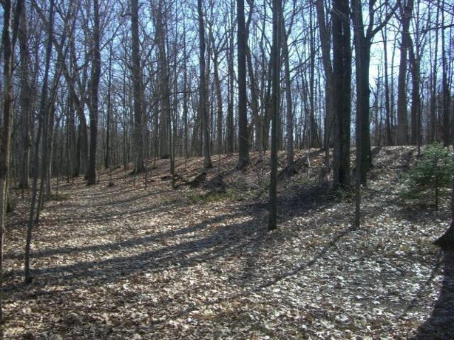 2 6 6 Mile Road Battle Creek, MI 49017 - Photo 7 of 10