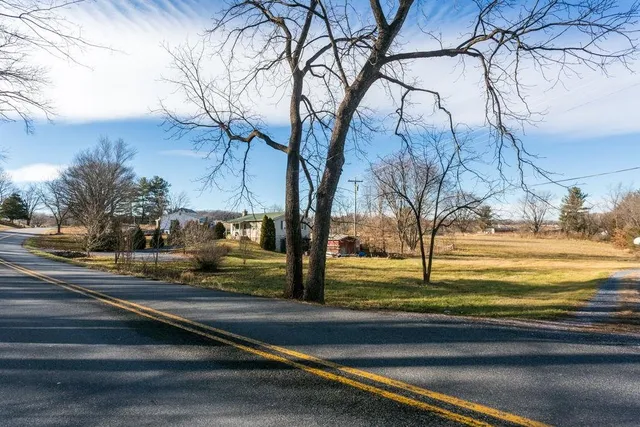 a view of a yard with large trees