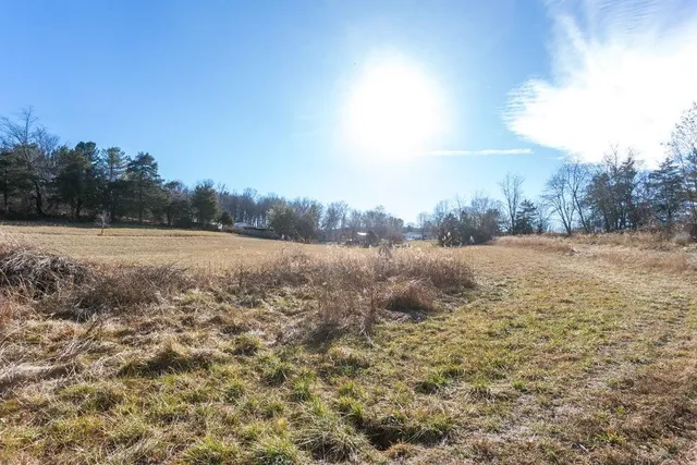 a view of a field with trees in the background