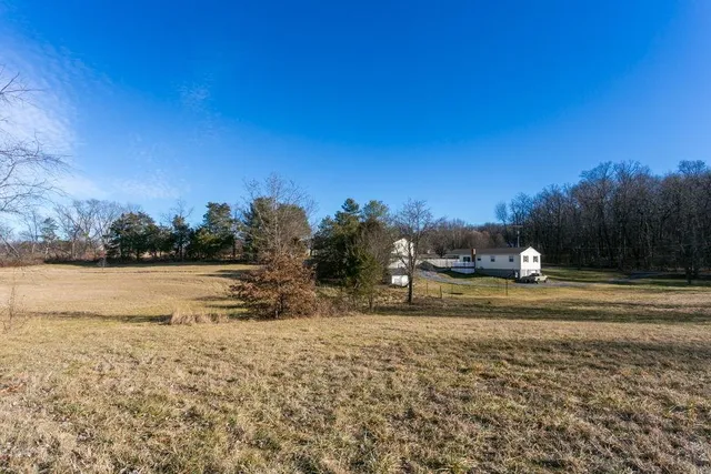 a view of dirt field with trees