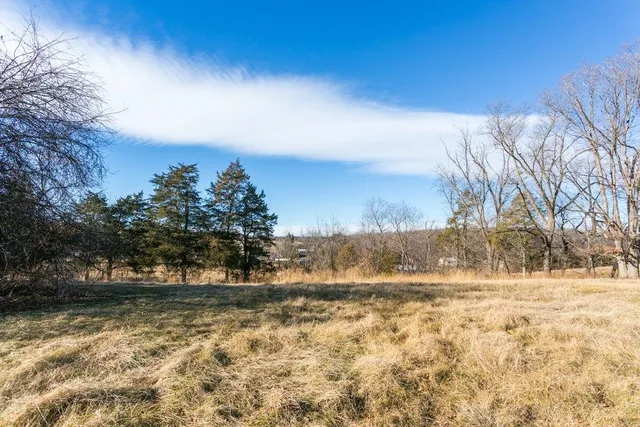 a view of dirt yard with a large tree