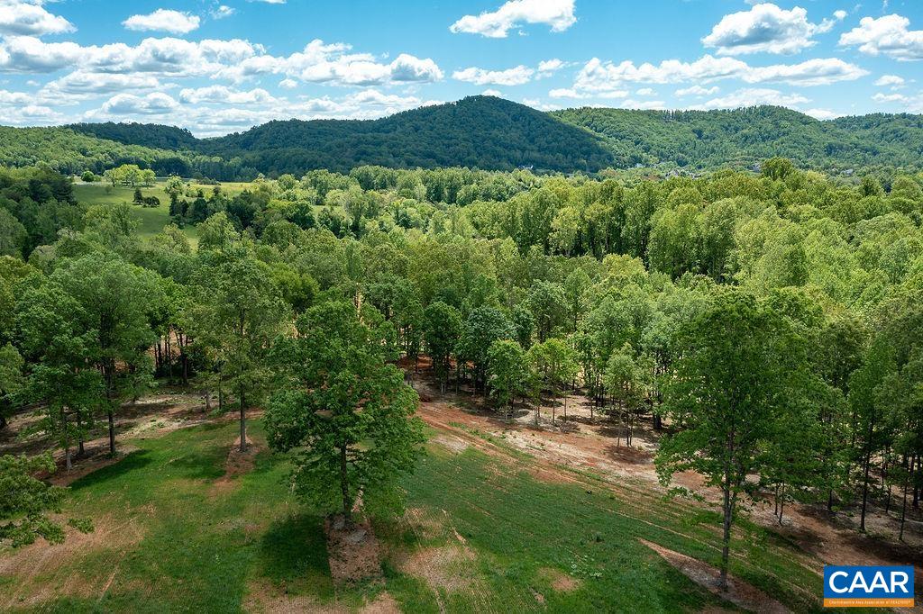 a view of a lush green forest with lots of trees