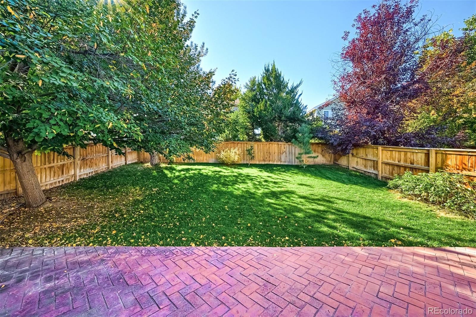1076 Timbervale Trail Highlands Ranch, CO 80129 - Photo 28 of 29 a view of a backyard with plants and large trees