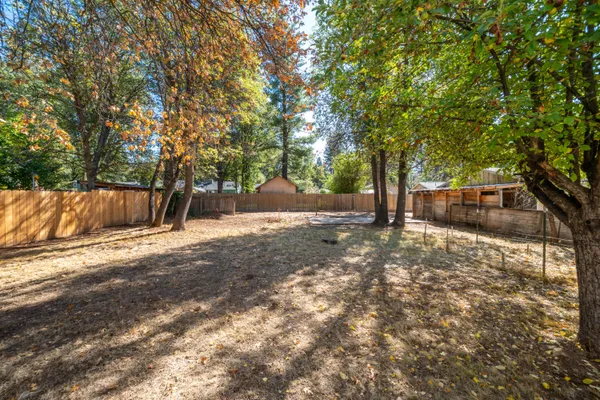 a view of a yard with plants and trees
