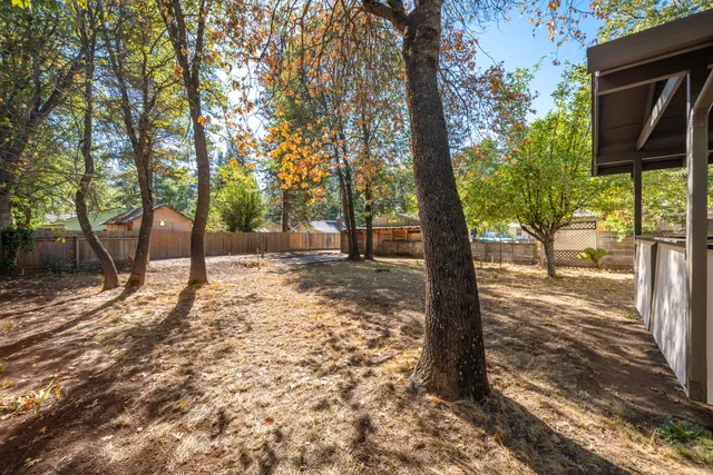a view of a yard with trees