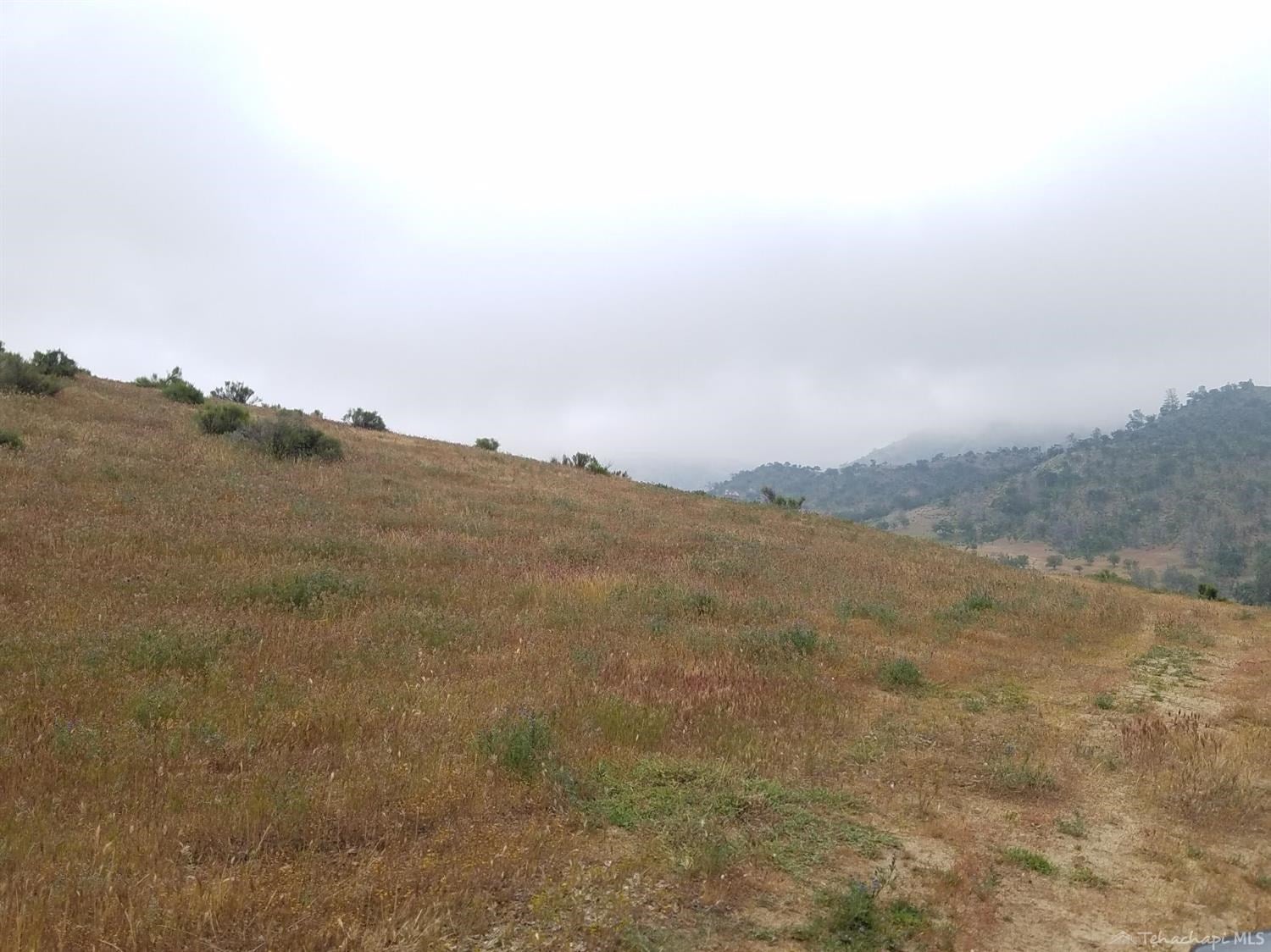 0 Paradise Valley Road Caliente, CA 93518 - Photo 15 of 26 Gallery Image 15
