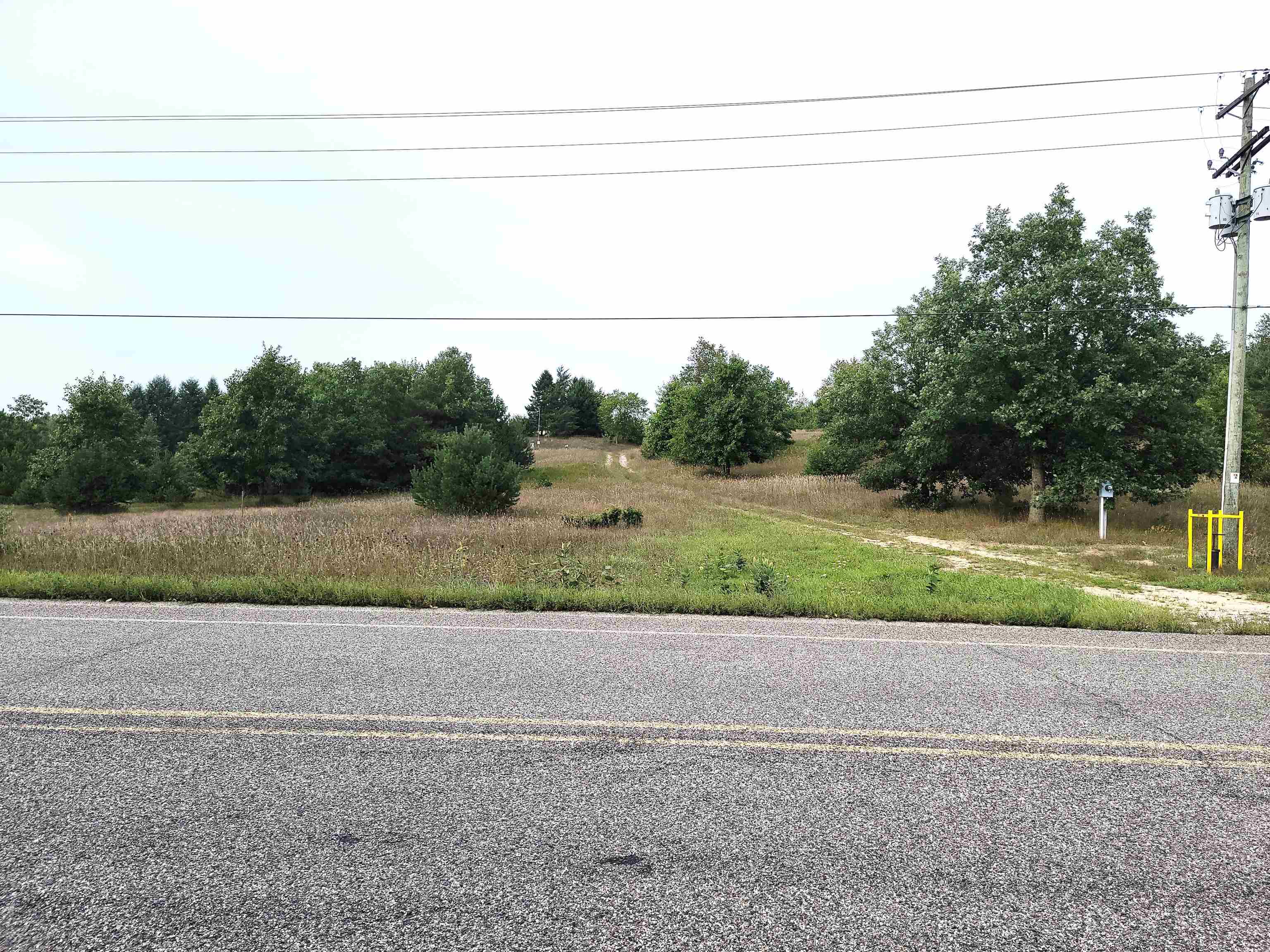 0 Plum Valley Road Northwest Alden, MI 49612 - Photo 12 of 18