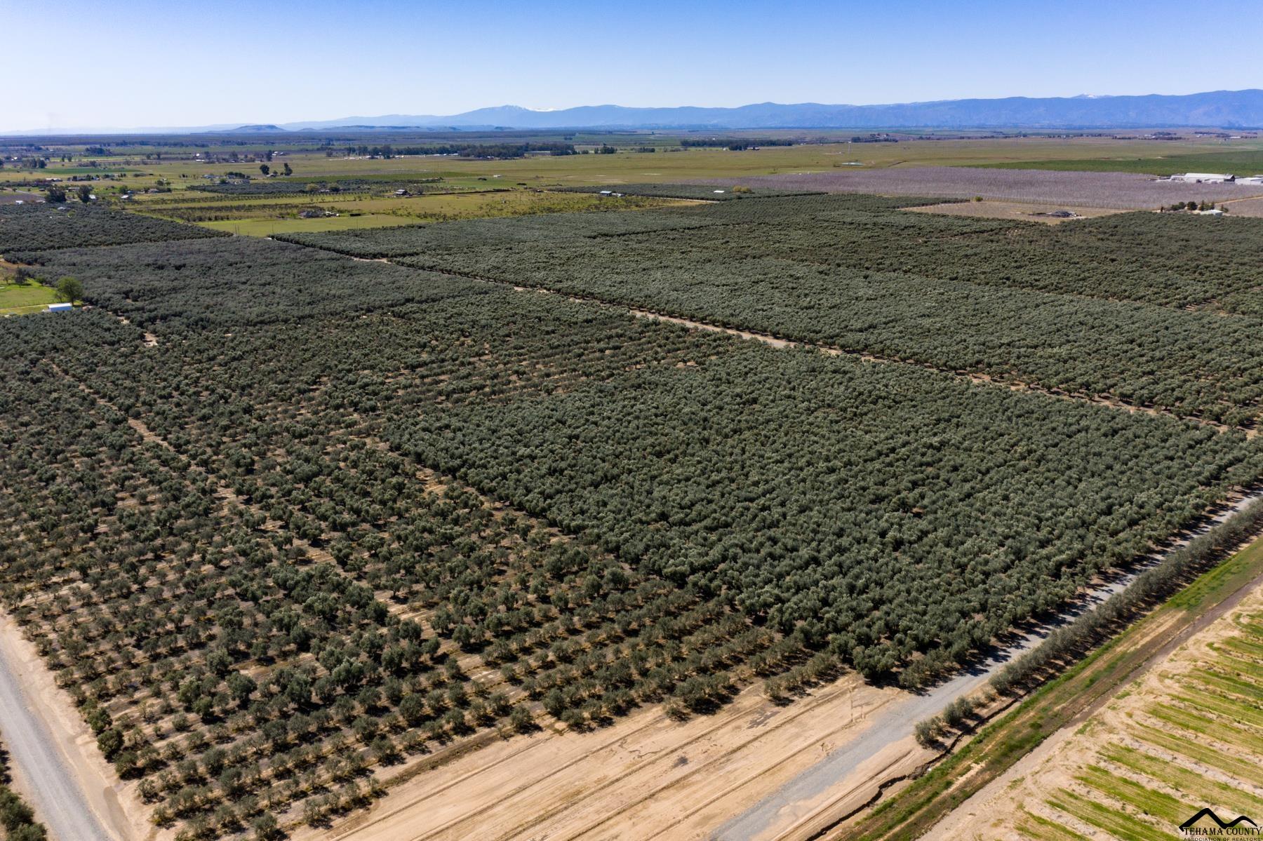 6315 Rawson Road Corning, CA 96021 - Photo 14 of 31