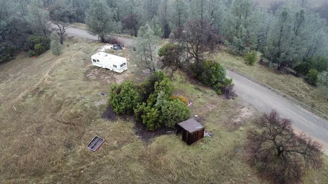 a view of a tree in a yard