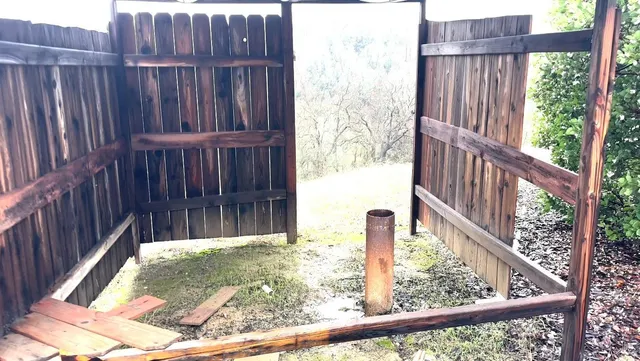 a close up of a painting of a tree