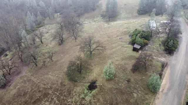 a view of a dry yard with a tree