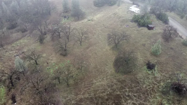 a view of a town with trees